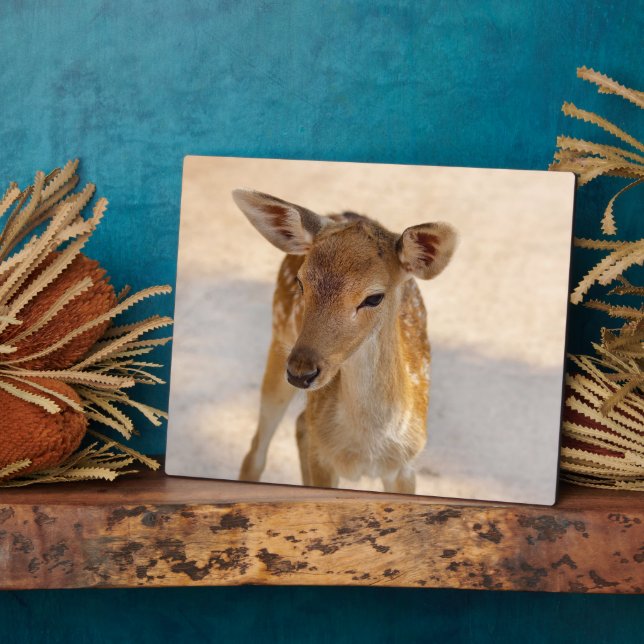 Baby Deer Plaque (Side)