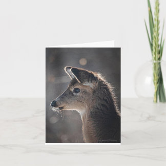 Baby Deer with the Cutest Ears Focusing Intently  Card