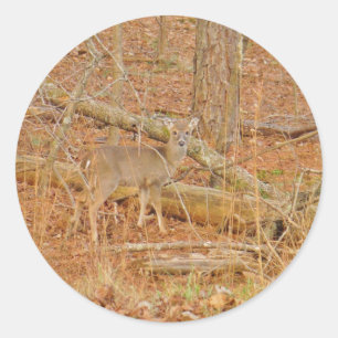 Baby Deer's First winter Classic Round Sticker