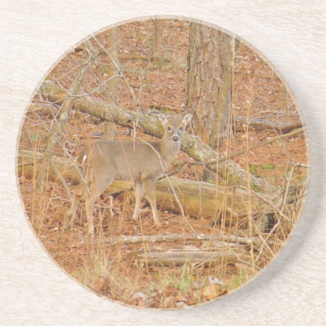 Baby Deer's First  winter Coaster (Front)