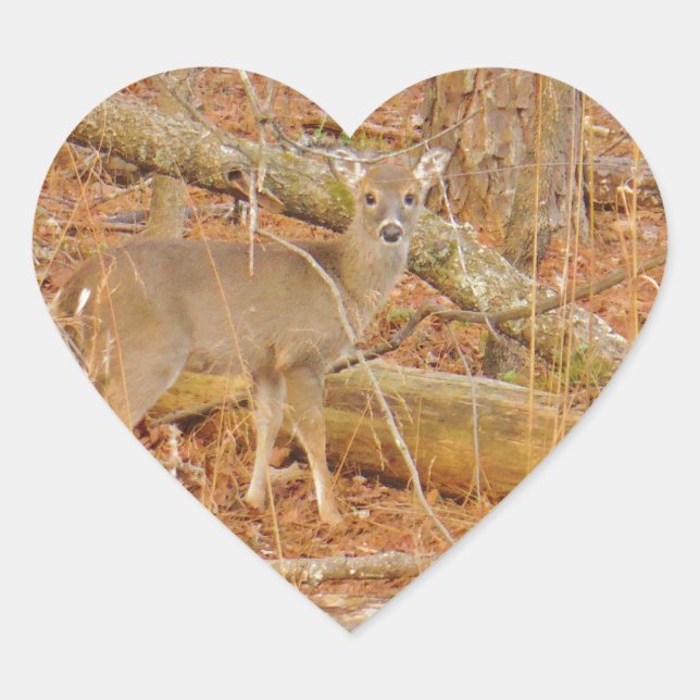 Baby Deer's First  winter Heart Sticker (Front)