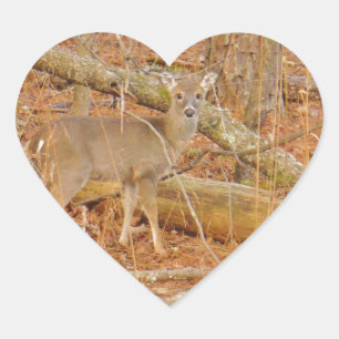 Baby Deer's First winter Heart Sticker