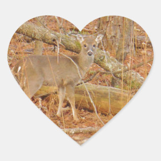 Baby Deer's First winter Heart Sticker