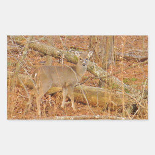 Baby Deer's First  winter Rectangular Sticker
