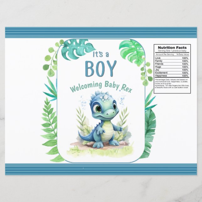 Baby Dinosaur Green and Blue Chip Bag (Front)
