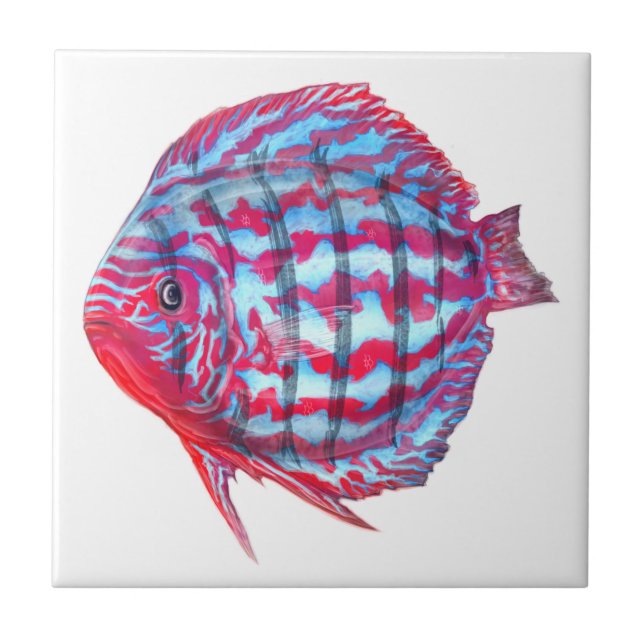 Baby Discus Tile (Front)