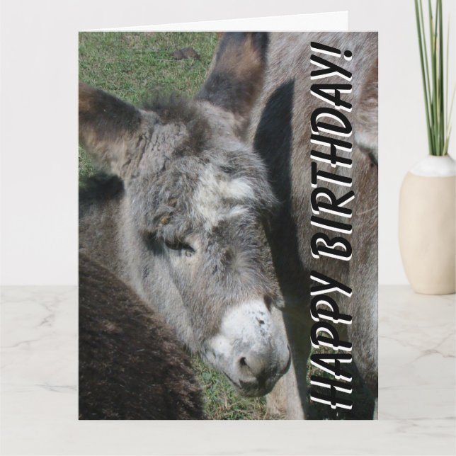 Baby Donkey Birthday Big Greeting Card (Front)
