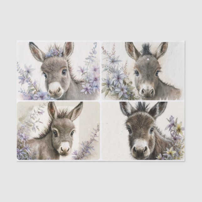 Baby Donkeys  Tissue Paper (Front)