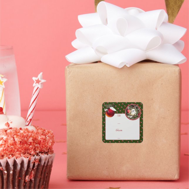 Baby Dove Square Sticker (Party)