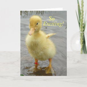 Baby Duck Birthday Card