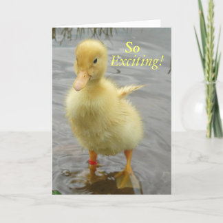 Baby Duck Birthday Card