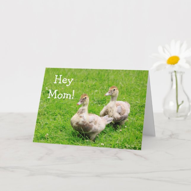 Baby Duck For Mum Birthday Card (Small Plant)