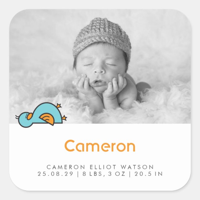 Baby Duck Photo Boy Birth Announcement Sticker (Front)
