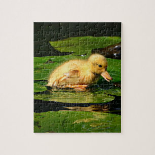 Baby Duck Resting on Lily Pad Jigsaw Puzzle