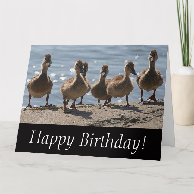 Baby Ducks Birthday Big Greeting Card (Front)