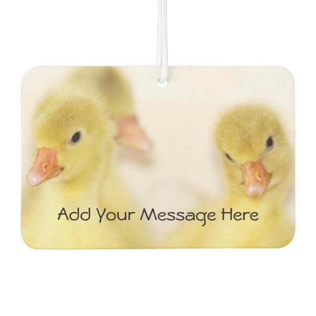 Baby Ducks Car Air Freshener (Front)