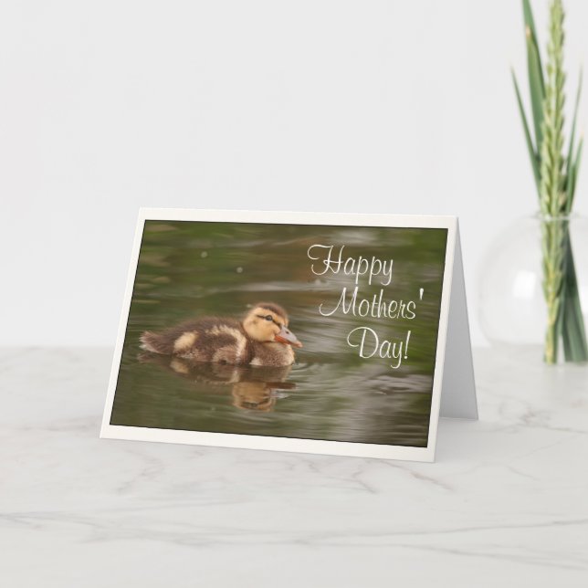 Baby Ducks Ducklings Animals Wildlife Mothers Day Card (Front)