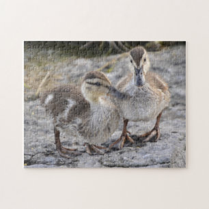 Baby Ducks Jigsaw Puzzle