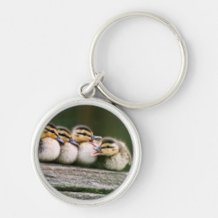 Baby Ducks Key Ring
