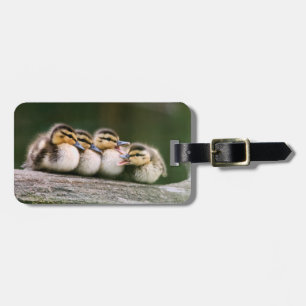 Baby Ducks Luggage Tag