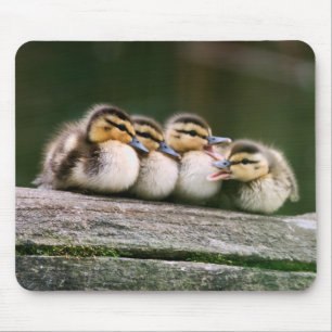 Baby Ducks Mouse Mat