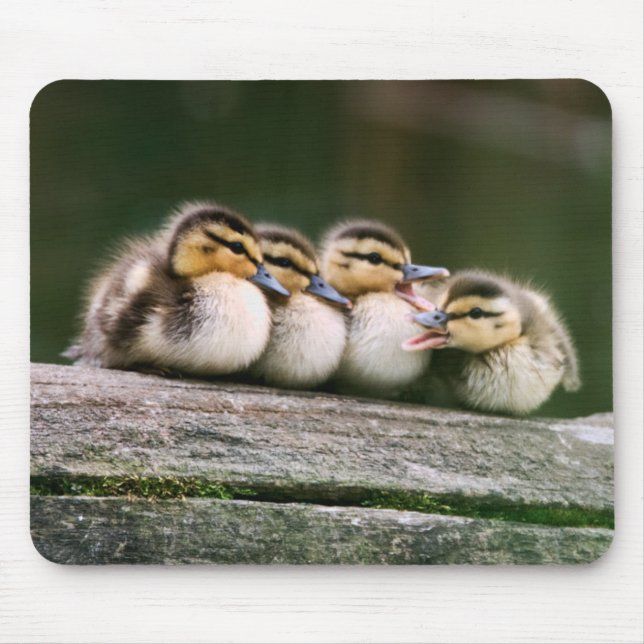 Baby Ducks Mouse Mat (Front)