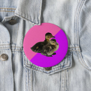Baby Ducks on Pink Raspberry and Purple Sorbet 10 Cm Round Badge