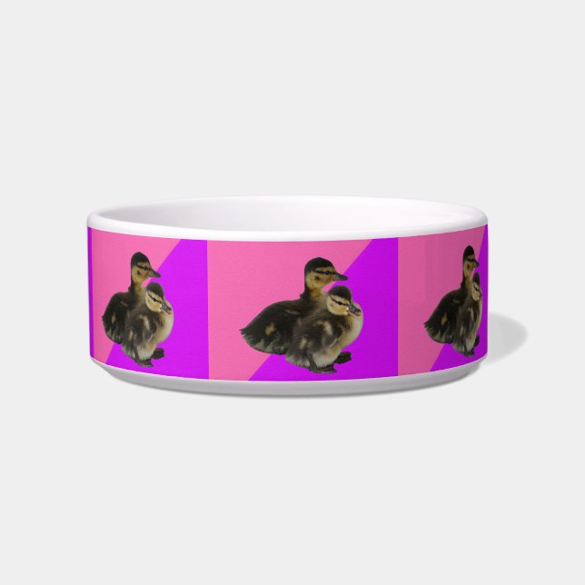 Baby Ducks on Pink Raspberry and Purple Sorbet Bowl (Front)