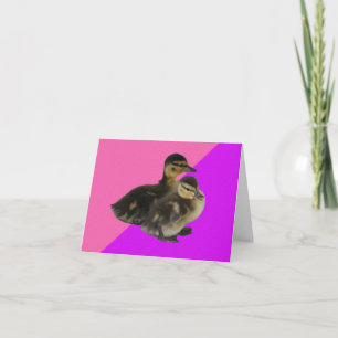 Baby Ducks on Pink Raspberry and Purple Sorbet Card