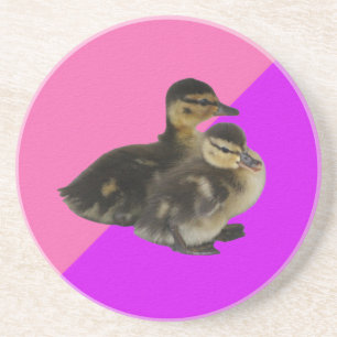 Baby Ducks on Pink Raspberry and Purple Sorbet Coaster