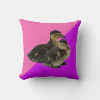Baby Ducks on Pink Raspberry and Purple Sorbet Cushion