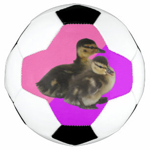 Baby Ducks on Pink Raspberry and Purple Sorbet Football