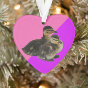 Baby Ducks on Pink Raspberry and Purple Sorbet Ornament