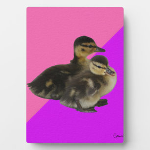 Baby Ducks on Pink Raspberry and Purple Sorbet Plaque