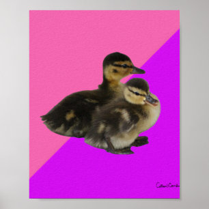 Baby Ducks on Pink Raspberry and Purple Sorbet  Poster