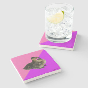 Baby Ducks on Pink Raspberry and Purple Sorbet Stone Coaster