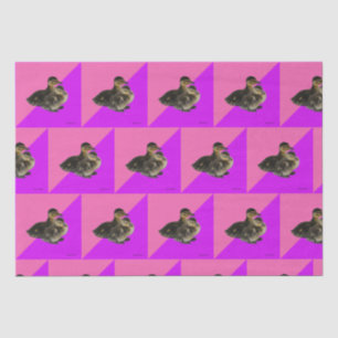 Baby Ducks on Pink Raspberry and Purple Sorbet Tissue Paper