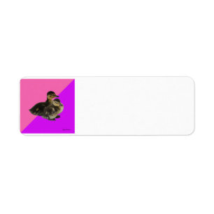 Baby Ducks on Raspberry/Purple Sorbet PERSONALIZE