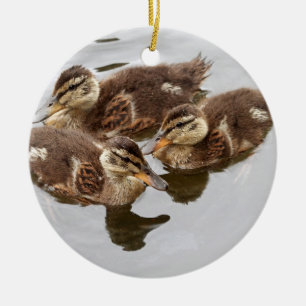Baby Ducks Photo Ceramic Tree Decoration