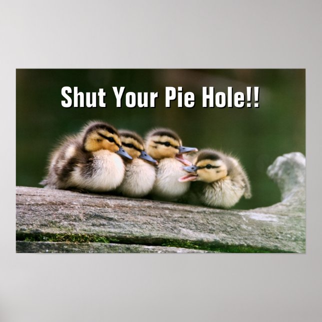 Baby Ducks Poster (Front)