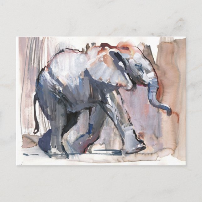 Baby elephant 2012 postcard (Front)