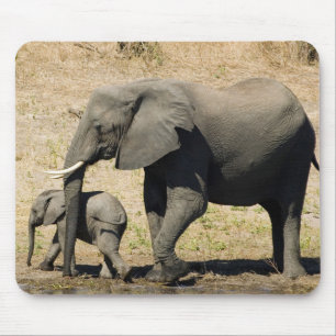 Baby Elephant And Mother Mouse Mat