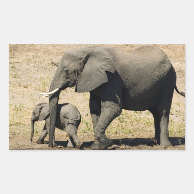 Baby Elephant And Mother Rectangular Sticker (Front)