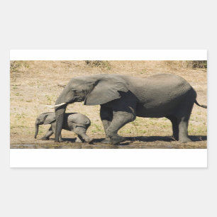 Baby Elephant And Mother Rectangular Sticker