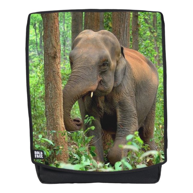 Baby Elephant Backpack (Front)