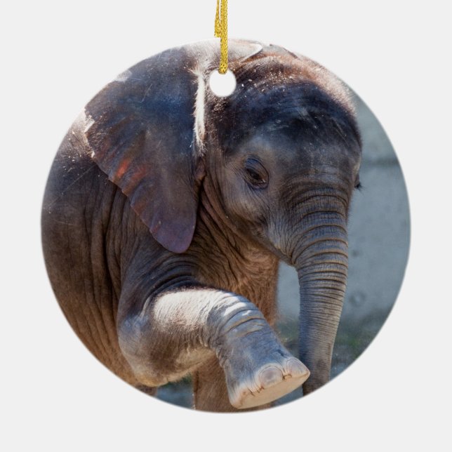 Baby Elephant Ceramic Tree Decoration (Back)