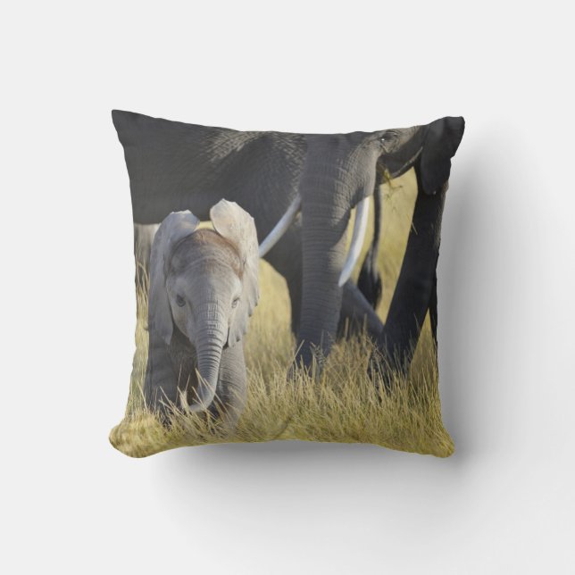 Baby Elephant Cushion (Front)