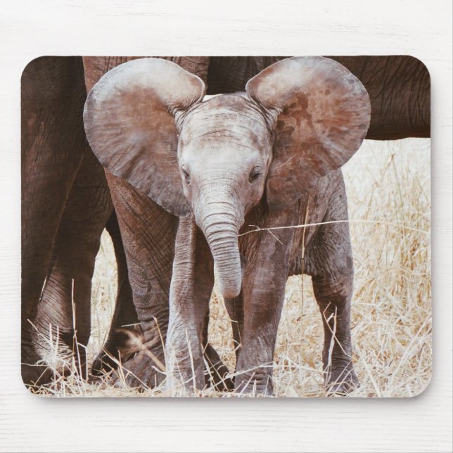 Baby Elephant Cute African Elephant with Mom Mouse Mat (Front)