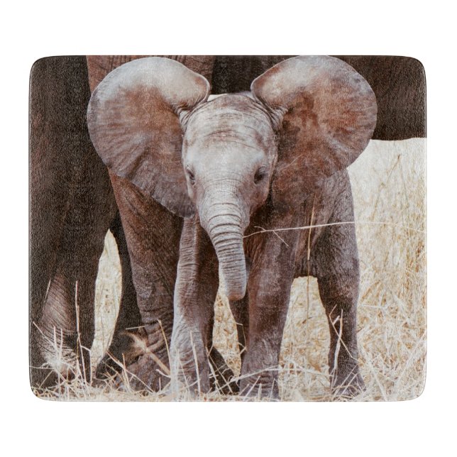 Baby Elephant Cute African Elephant with Mum Cutting Board (Front)
