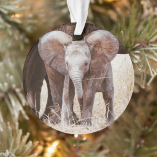 Baby Elephant Cute African Elephant with Mum Ornament